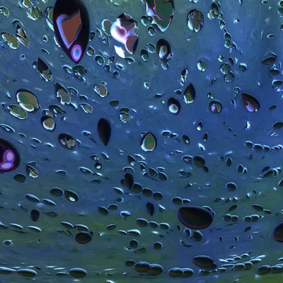 #53