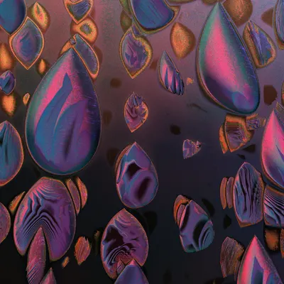 #55