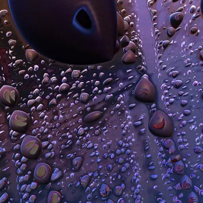 #66