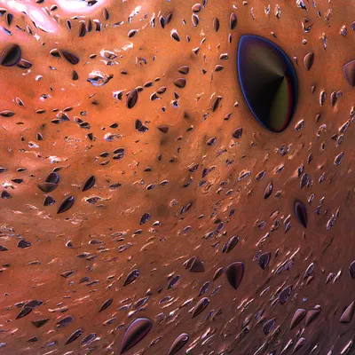 #71