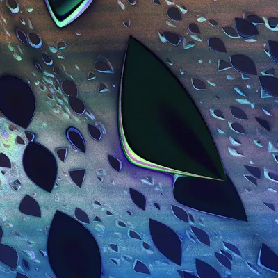 #76
