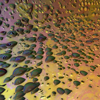 #91