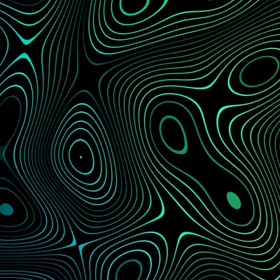 #1000002