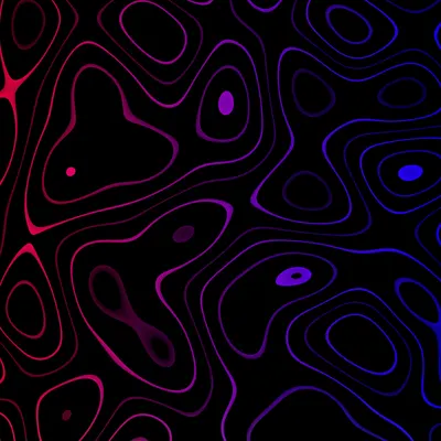 #1000006