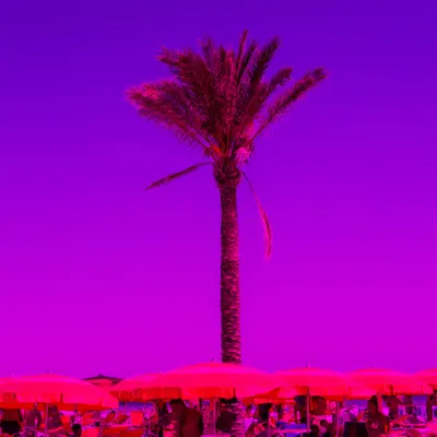 Meet Me At The Palm
