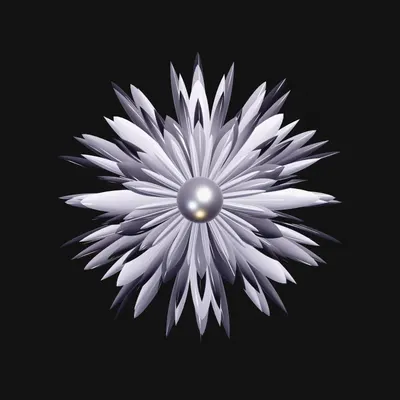 #1000062
