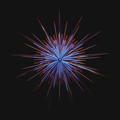 #1000250