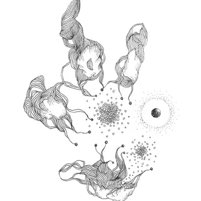 SKETCH BELIEF