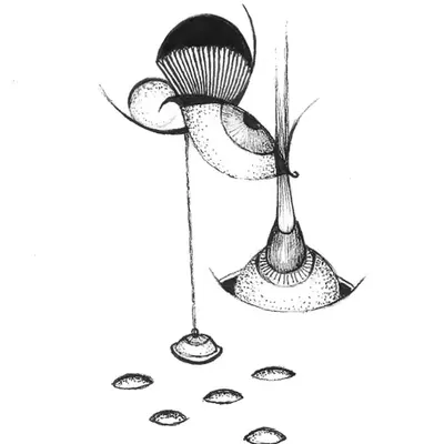 SKETCH PERCEPTION