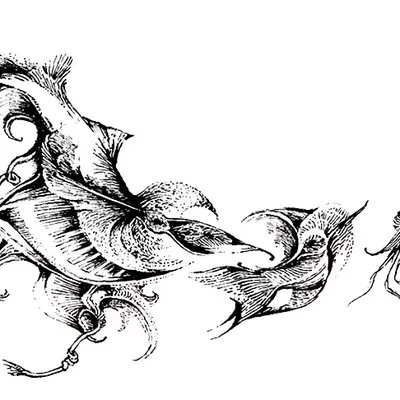 SKETCH PROGRESS