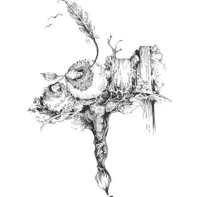 SKETCH DESIGN