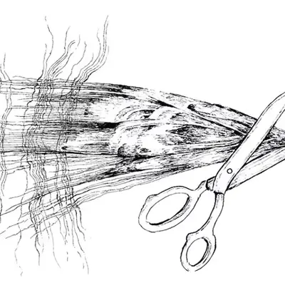SKETCH PURPOSE