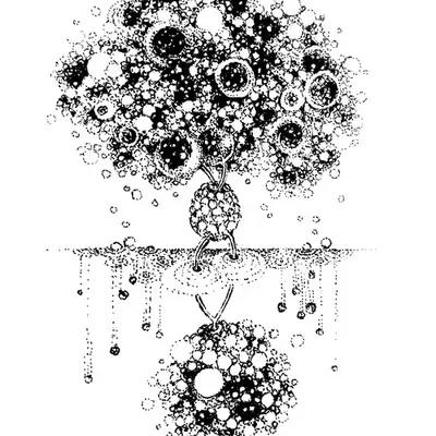 SKETCH THROUGH