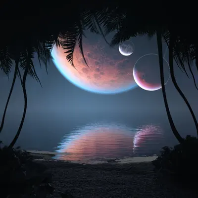 Three Moon Bay [Night] (2018)