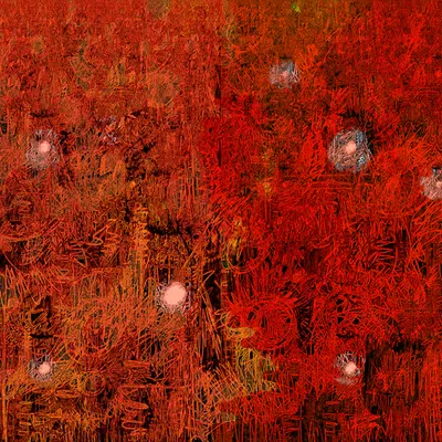 Pilgrim Lights
