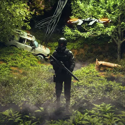 Sounds of the Forest