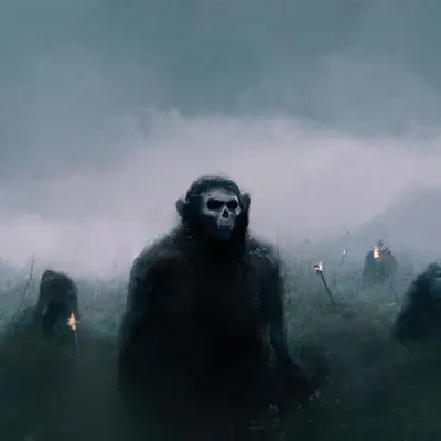 Strangers in The Mist