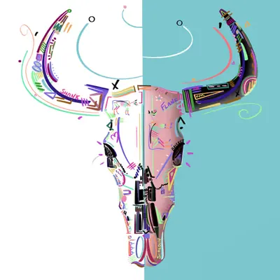 Cow skull