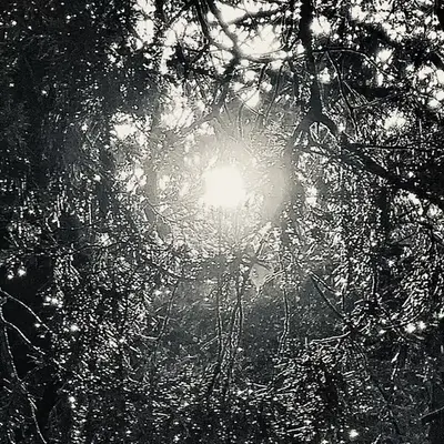 “Shine On”
