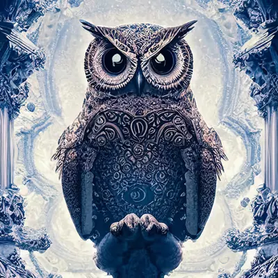 Owl of Winter