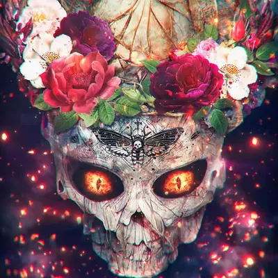 ⟠ 𝕲𝖔𝖙𝖍𝖎𝖈 𝕾𝖐𝖚𝖑𝖑 ⟠