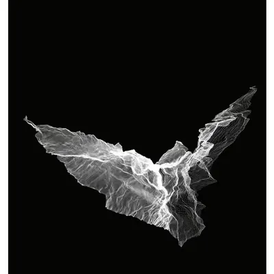 CHIMERA PHOENIX