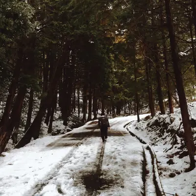 Solo Trek