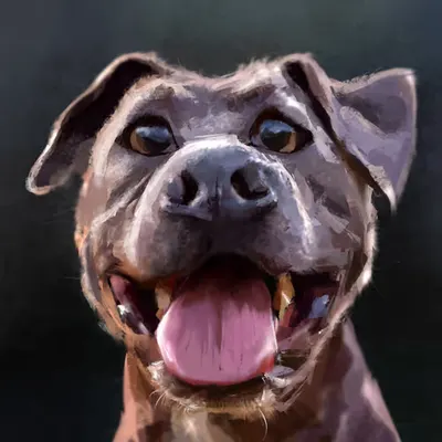Woof