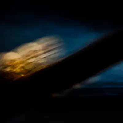 Ego trip