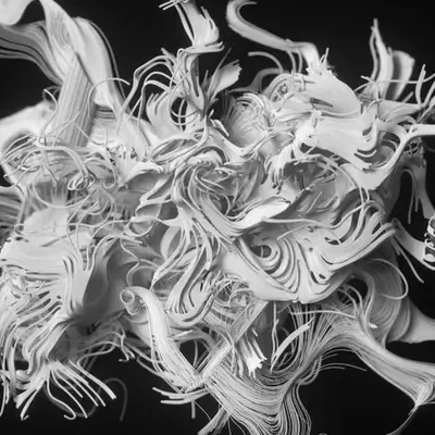 Laws of Chaos_3