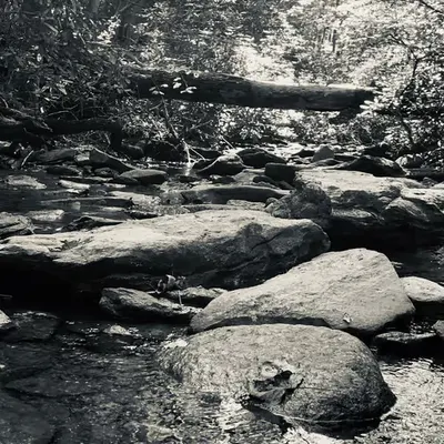 “Tranquility”