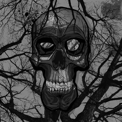 Life and Death