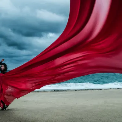 Dance in the Wind