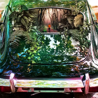 Inside the inside
