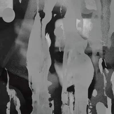 Hide