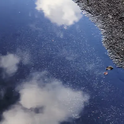 reflection #002