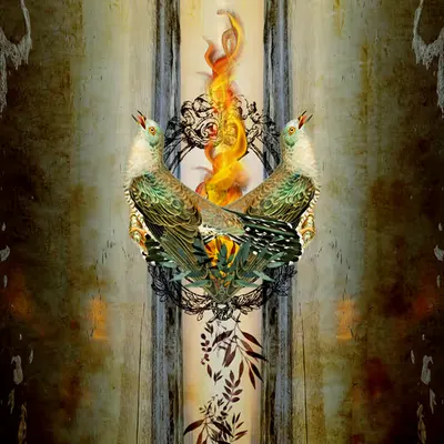The Rebirth