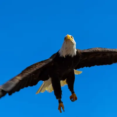Lift Off