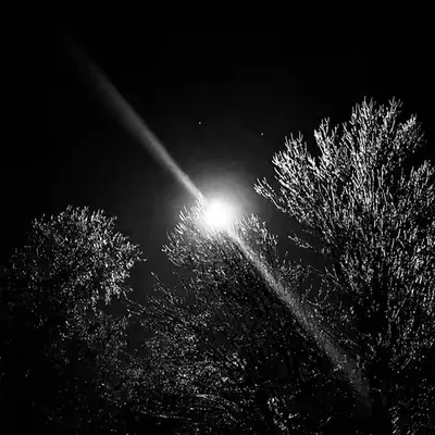 “Frozen Moonlight”