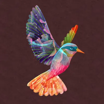 The Hummingbird