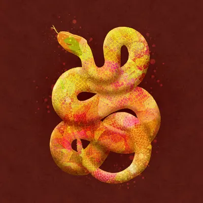 The Snake