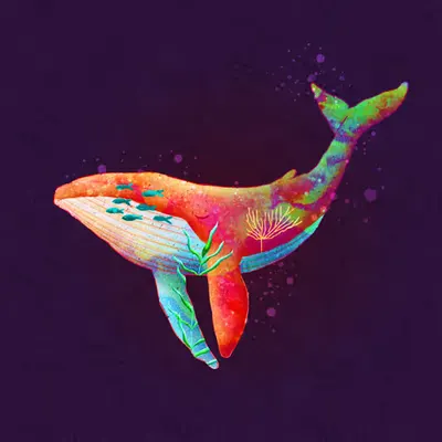 The Whale