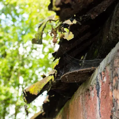 clinging on