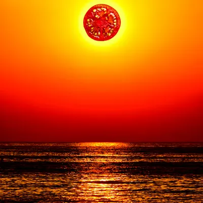 Sun Dried Tomato