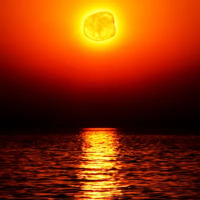 Sun Chip