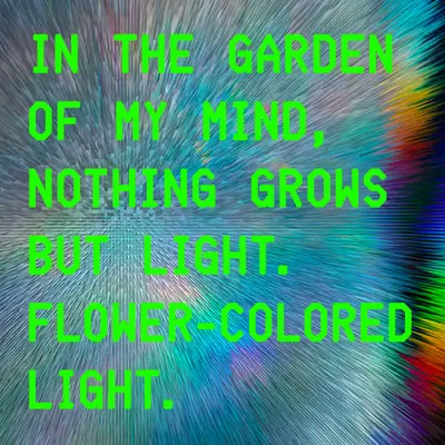Flower-Colored Light 1