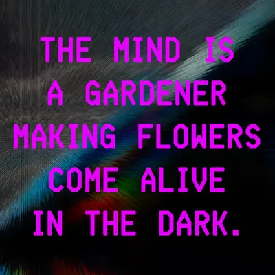 Flower Colored Light 2