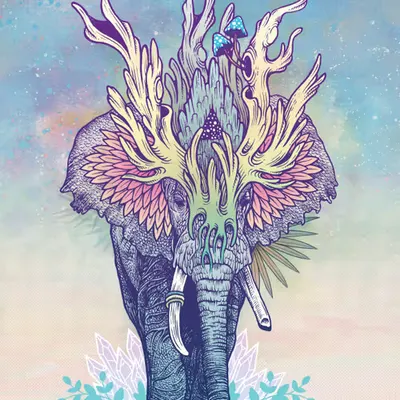 Spirit Elephant