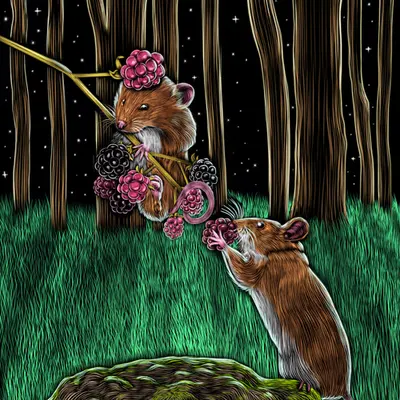Harvest Moon