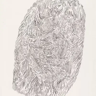 hairy hood
